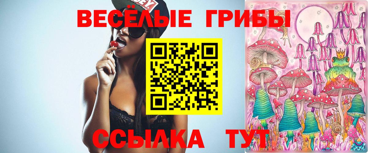 Псилоцибиновые грибы мицелий  Псилоцибиновые грибы Psilocybe  Вход с VPN  Орёл 